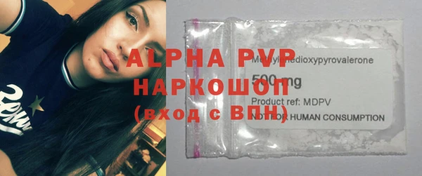 прущие грибы Надым