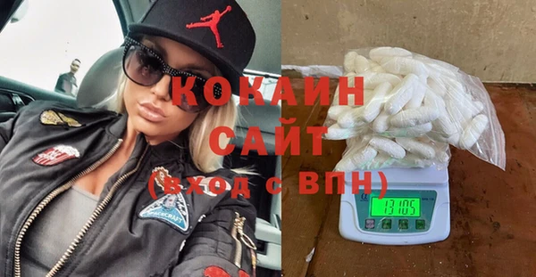 прущие грибы Надым