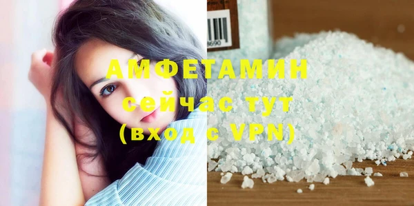 прущие грибы Надым