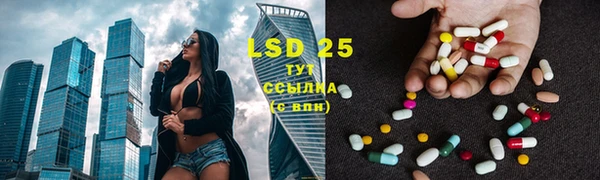 прущие грибы Надым
