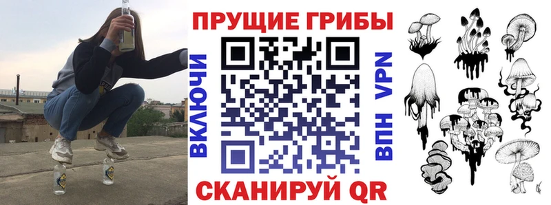 Псилоцибиновые грибы мицелий Отрадный