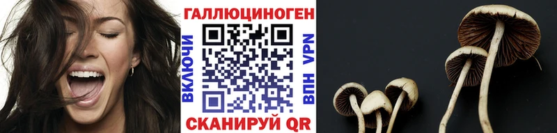 Псилоцибиновые грибы Psilocybine cubensis  купить наркотики цена  hydra вход  Отрадный 
